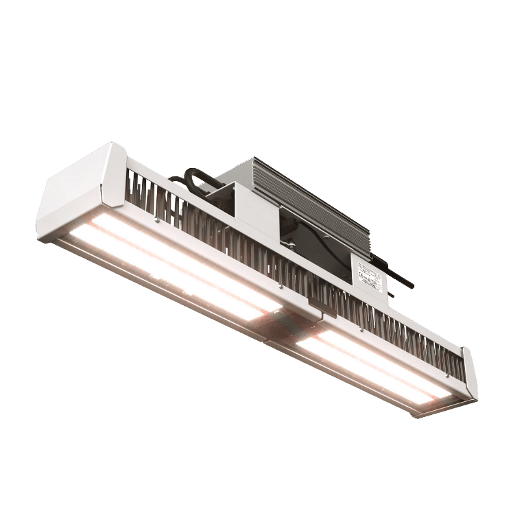 Fiore toplight combo