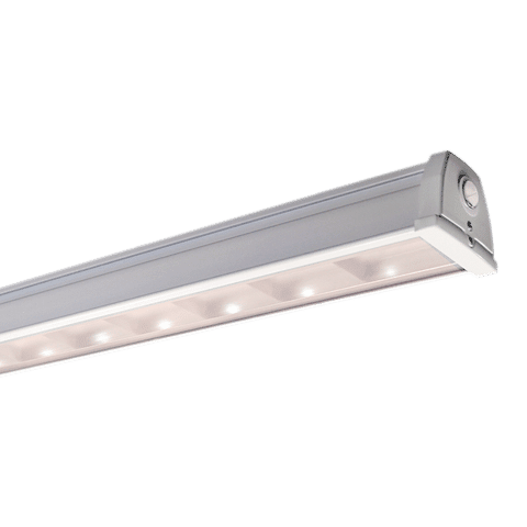 ACCIAIO BX910 led vapor tight